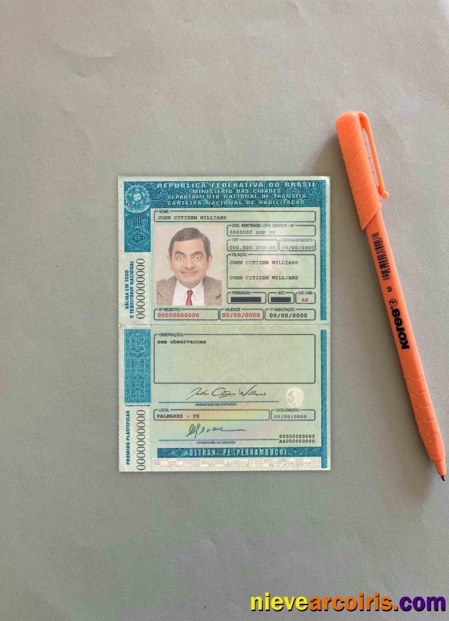 Brazil driving license (Detran-Pe[Pernambuco) photolook